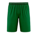 Men's Athletic Emerald Green Lightweight Performance Training Shorts